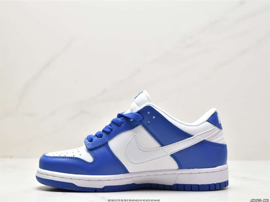 Nike Dunk Low Blue White FN3416-001