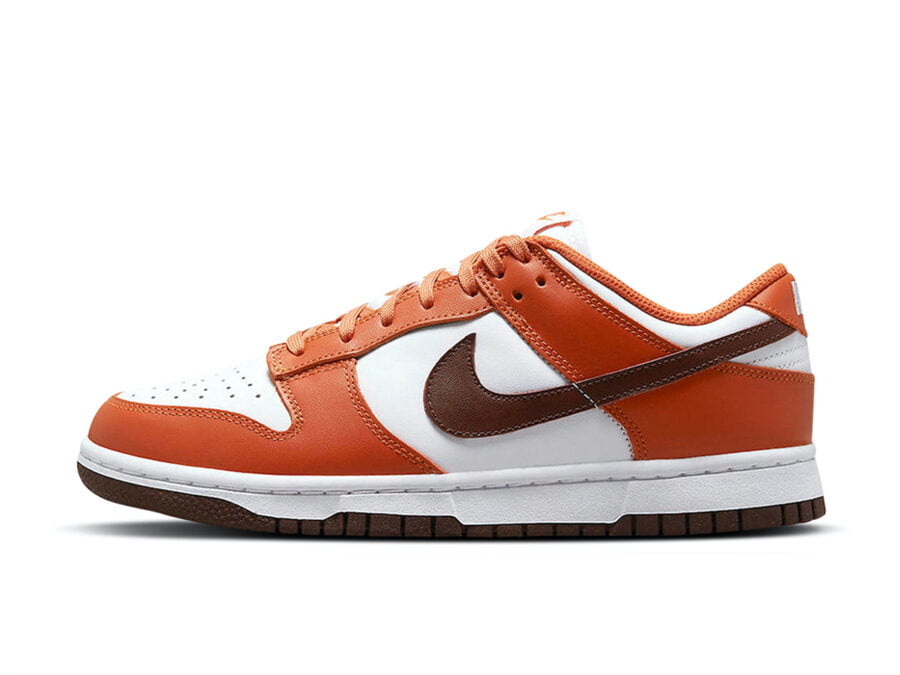 Nike Dunk Low Bronze Eclipse DQ4697-800